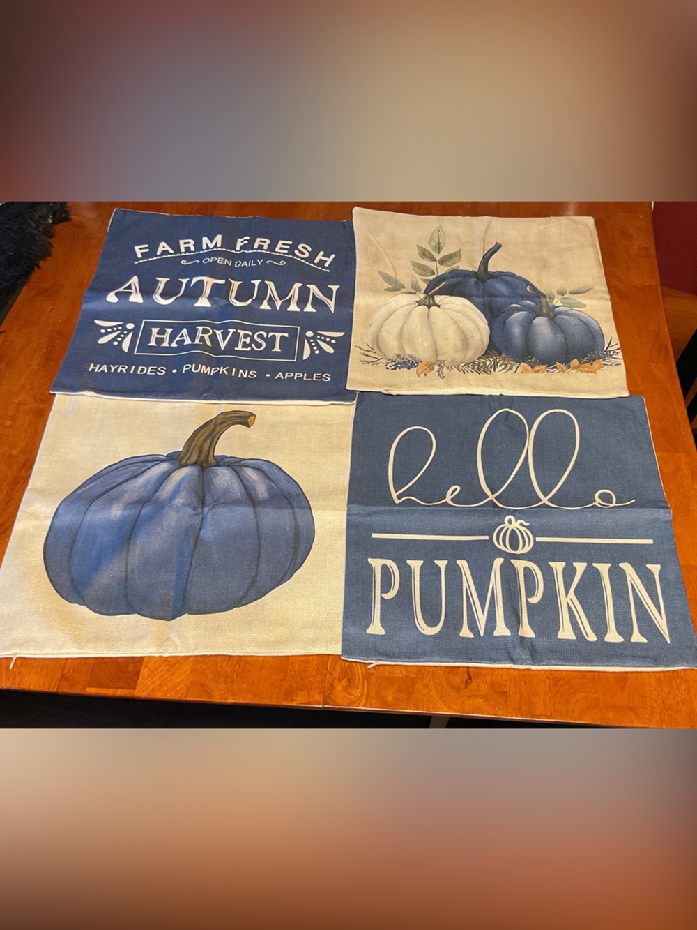 NEW- Blue & Cream Autumn Pumpkin Accent Pillow Covers 4 Pack